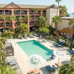 Beachfront Palms Hotel Galveston